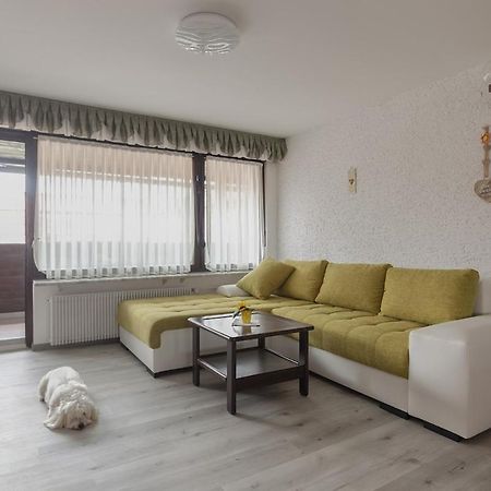 Family Apartment Nakiteya Lublaň Exteriér fotografie